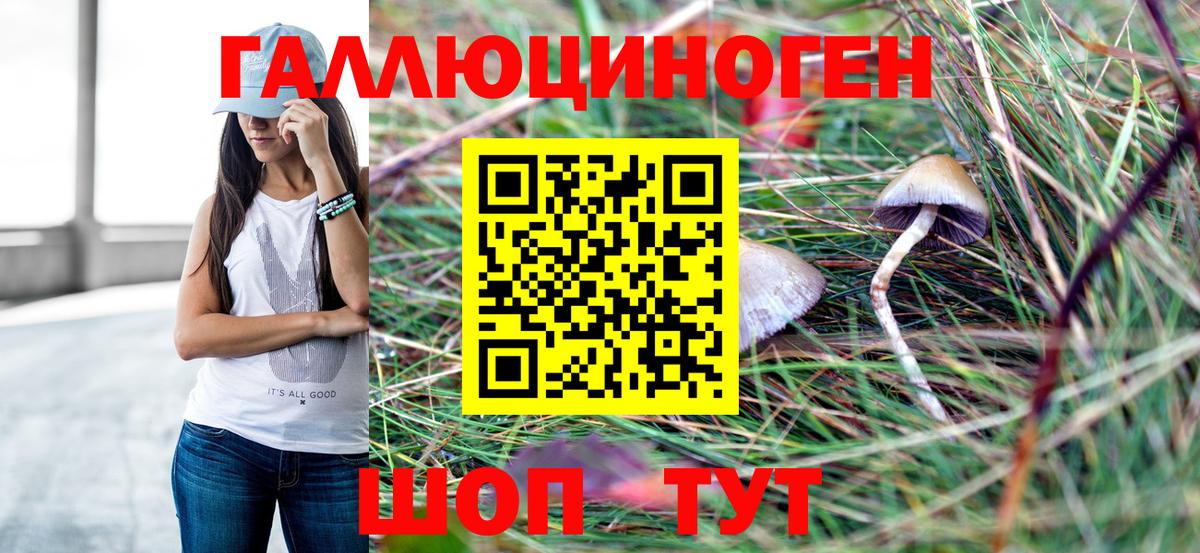 Камень-на-Оби  Галлюциногенные грибы ЛСД  где продают   Псилоцибиновые грибы прущие грибы  Вход с VPN 